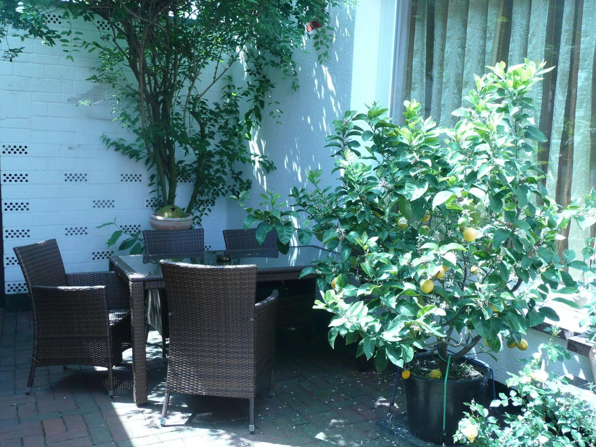 Landgasthaus Bonn Baunatal Buitenkant foto